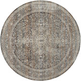 Dmon Floral Area Rug in Blue
