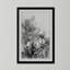« round succulent radicales », impression encadrée sur papier-202662138