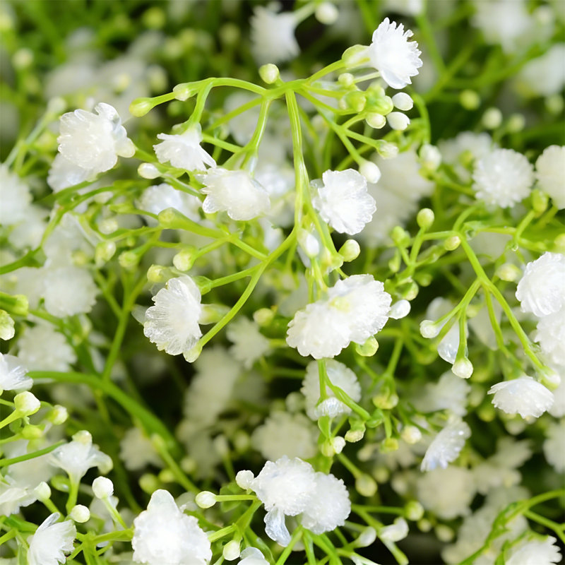 Wall-Mounted Artificial Flower