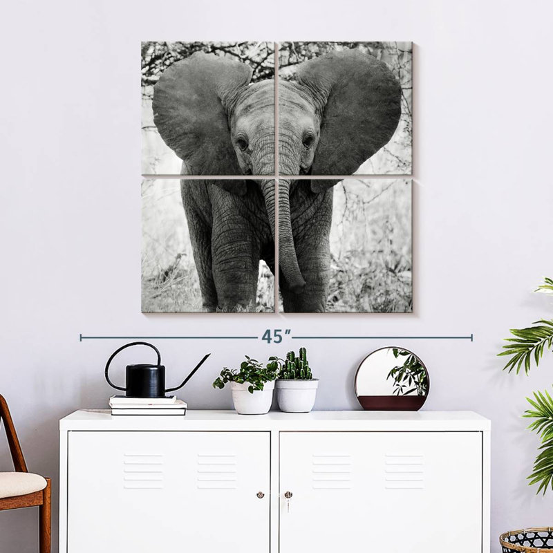 Brampt Funny Eared African Elephant