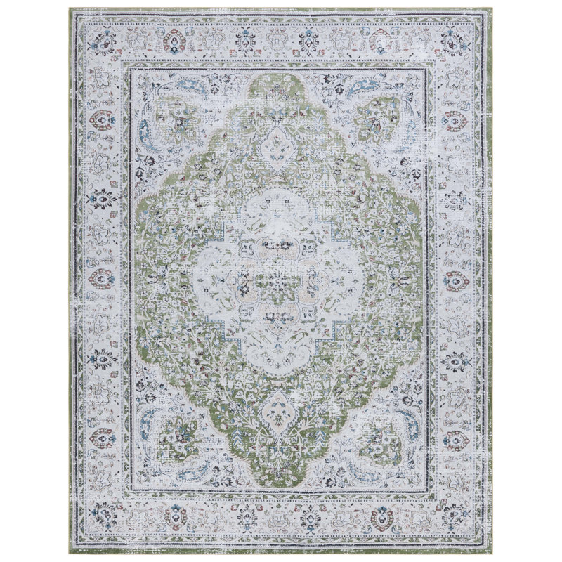 Czarnetzki Performance Machine Washable Oriental Rug, Rectangle 8' x 10'