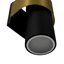 Applique murale d'extérieur cylindrique 2 lumières à DEL noire et dorée IP54