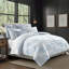Bleuet rustique chalet bleu-101883970