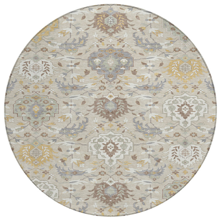  Machine Washable Indoor/Outdoor Chantille ACN1026 Rug