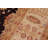 Siann Wool Oriental Indoor Rug