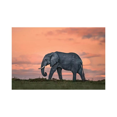 Elephant at Dusk 1 Piece Wrapped Canvas Wall Art