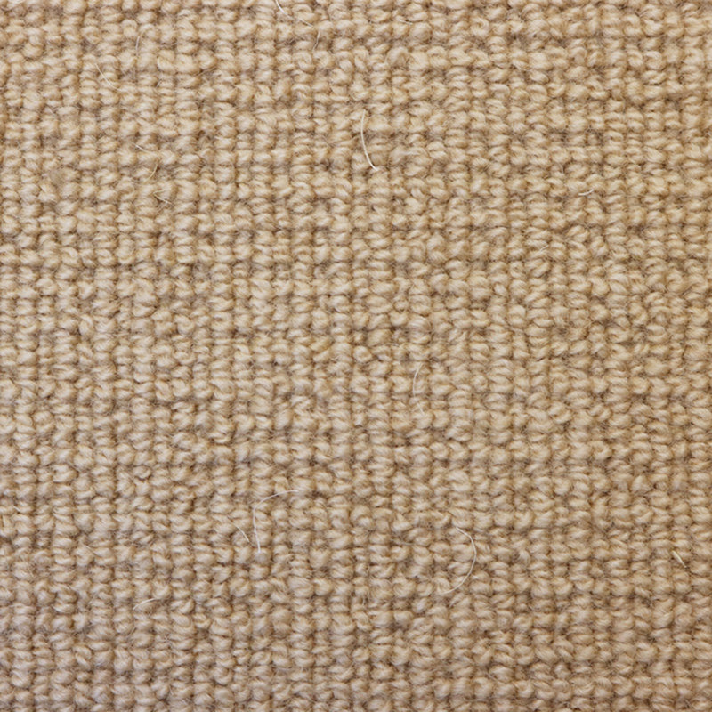 Pamela Wool Indoor Rug, 8' x 10'