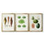 Fruit et légume Variétés VI - Toile tendue sur mesure avec châssis, 3 pièces-117236734-117236736