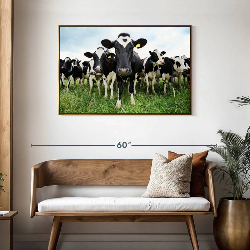 Vaches Holstein, Cadre flottant doré, 43 po x 29 po