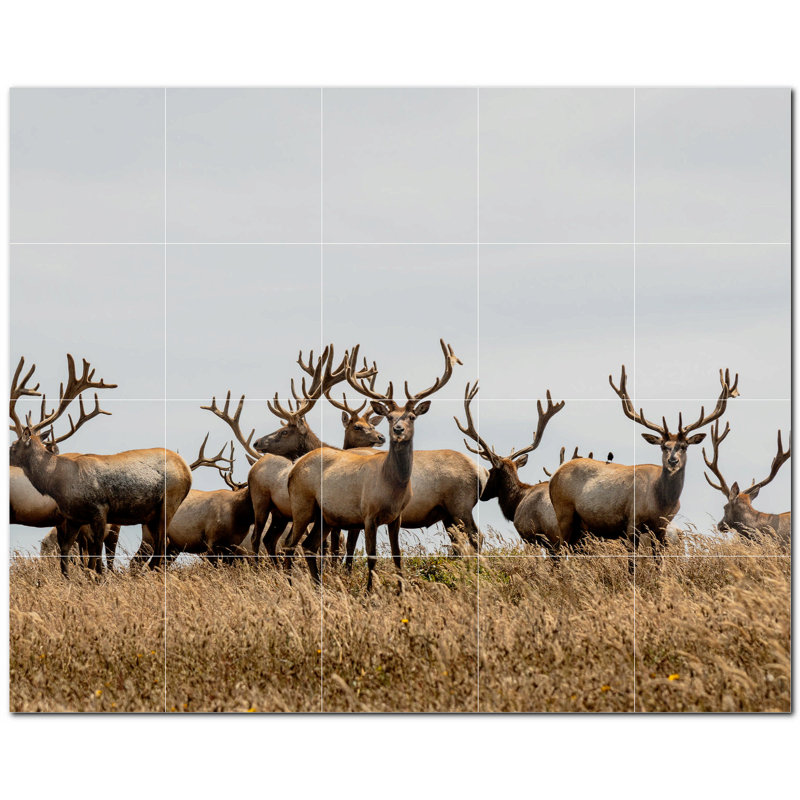 8 x 8