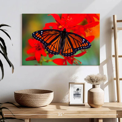 «Viceroy Butterfly» imitant le papillon monarque