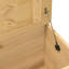 Pellston Accent Trunk