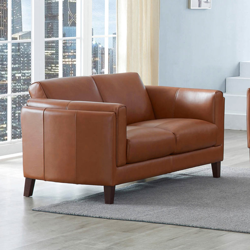Cuir: brun avec cuir. Pour les sièges et le dossier à grain divisé. Coussins amovibles en mousse haute résilience, duvet de plumes. Structure en bois massif, sans ressorts de siège. Un meuble de style élégant.