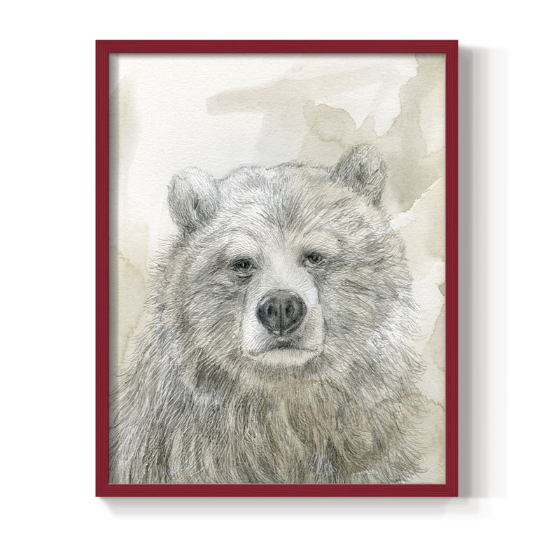 «Woodland S Croquis», reproduction encadrée d'ours, Rouge, H 30 po x l 24 po