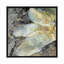 Lis abstrait I par Jennifer Goldberger-impression-54034303-54299732-75087835