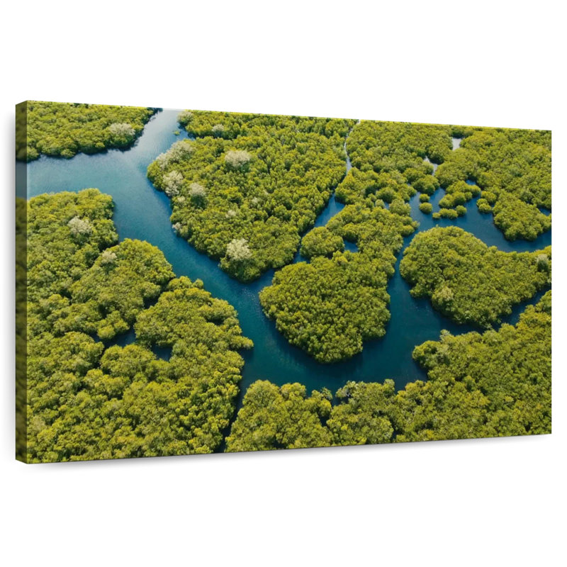 Alvord Lush Siargao Mangrove Forest, H 8 po x l 12 po