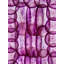 Radishes Print by Harold Davis-65795804-65795806