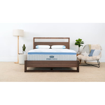 Bear Mattress 13" Star Hybrid by Bear Mattress