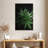 Cannabis Leaves-108366288