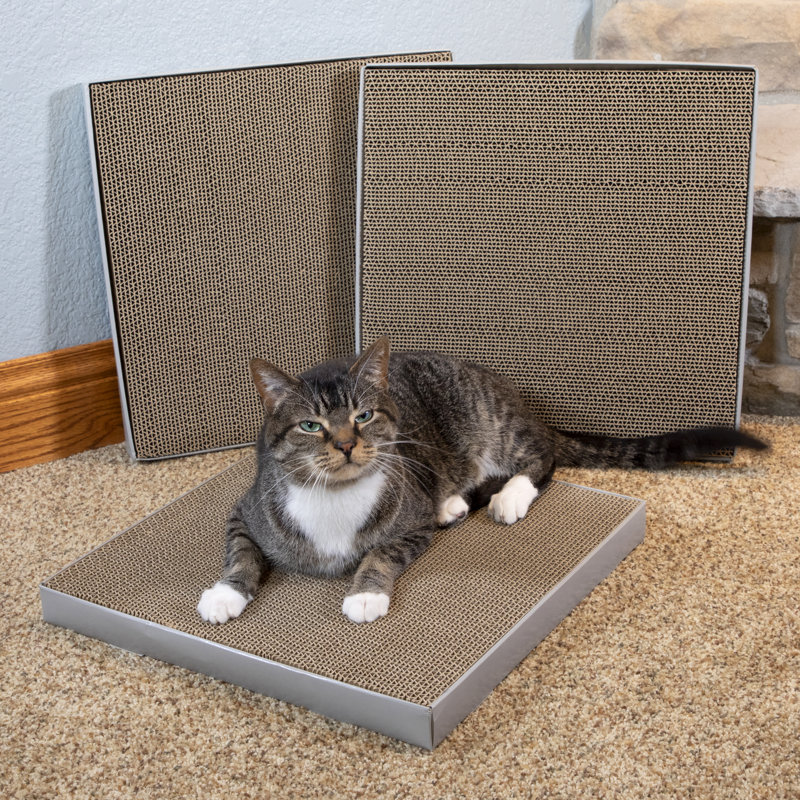 Scratching Post