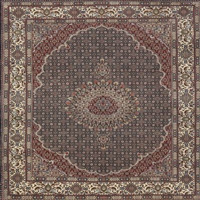 Oriental Indoor Rug