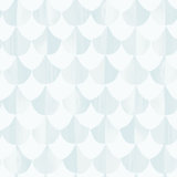Yuki Osada Wallpaper Double Roll