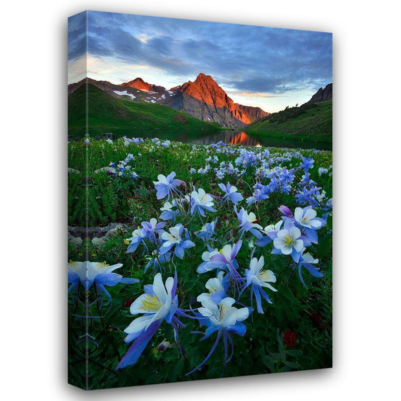 Art sur toile tendu avec galerie Latitude Run® Xu, Mei: Blue Columbine Paradise 1495407, H 48 po x l 32 po