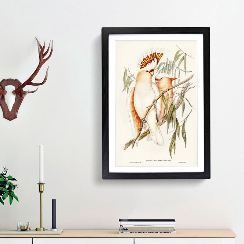 Leadbeater's Cockatoos by Elizabeth Gould - Picture Frame Painting Print, 36cm H x 27cm W x 2cm D, Black Framed
