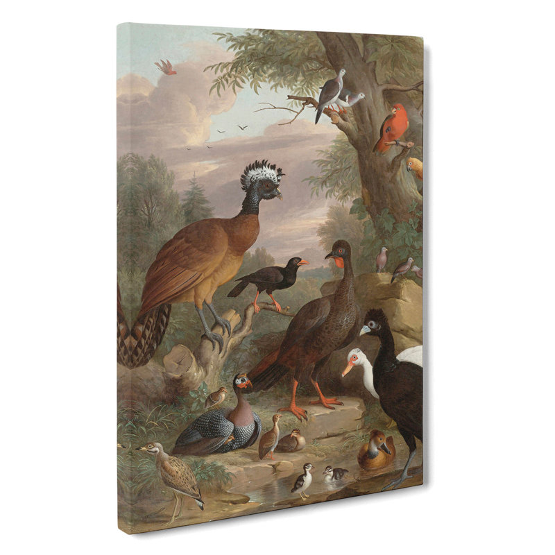 Collection Of Birds Vol.1 by Melchior DHondecoeter - Wrapped Canvas, 76cm H x 50cm W x 3cm D