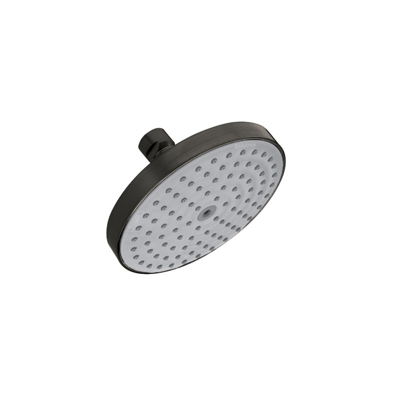 Pomme de douche Raindance S 150 1jet, Noir mat