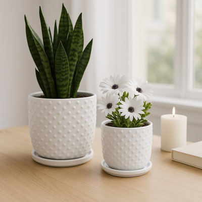 Jardinière décorative ronde avec soucoupe pour la décoration intérieure - Pot de fleurs texturé élégant pour le patio ou le salon - ensemble de 2, 6 po, 8 po