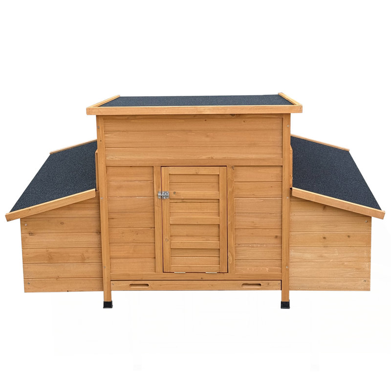 Chicken Coop