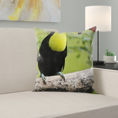 Coussin oiseau