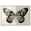 «Duality of a Monarch II», reproduction d'art sur toile encadrée par Art Remedy, cadre blond, 54 x 36-1285255288-1285255279