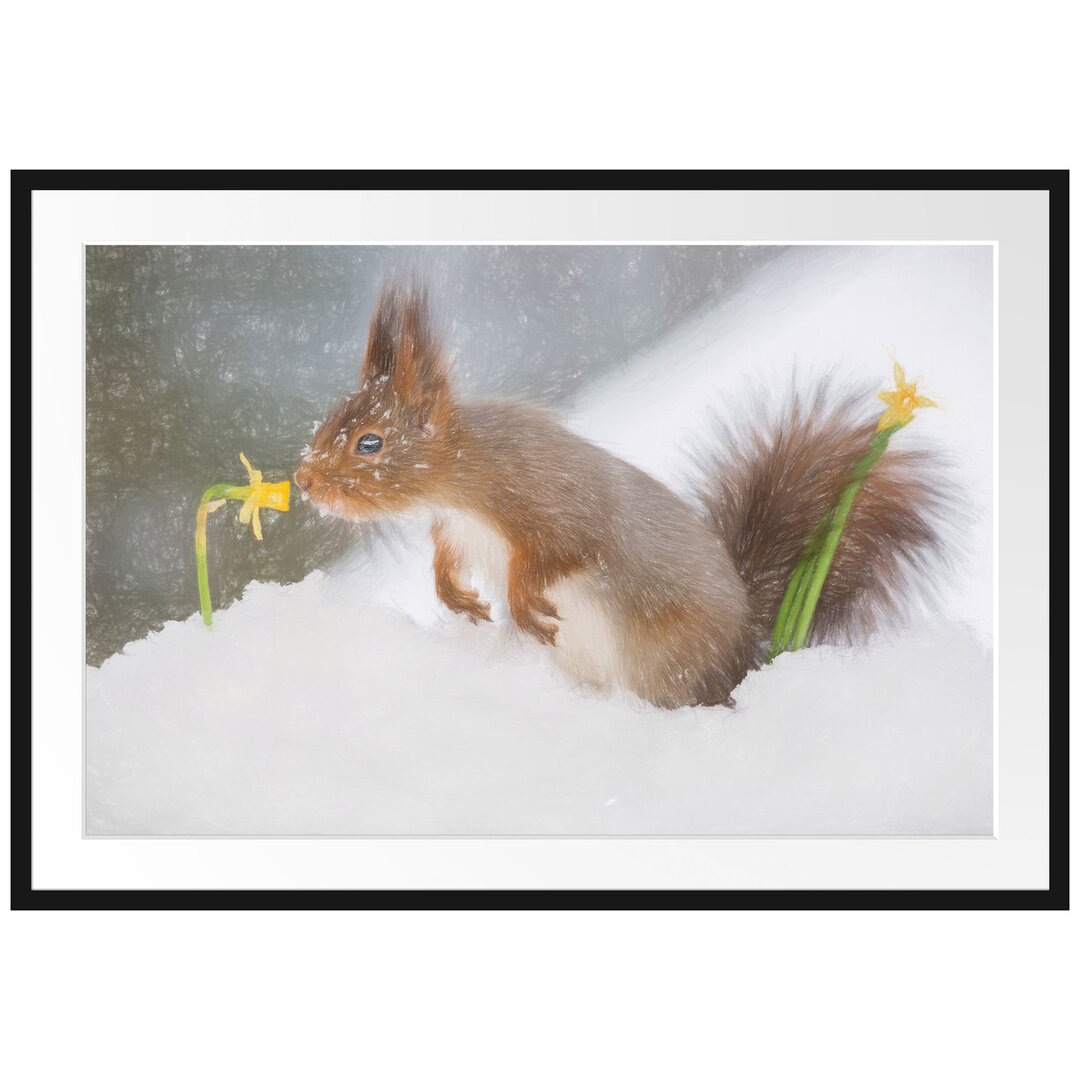 Gerahmtes Poster Eichhörnchen im Schnee