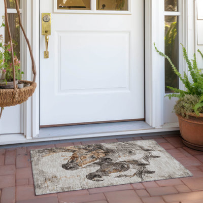 Machine Washable Indoor/Outdoor Cinead ACN1718 Beige Rug