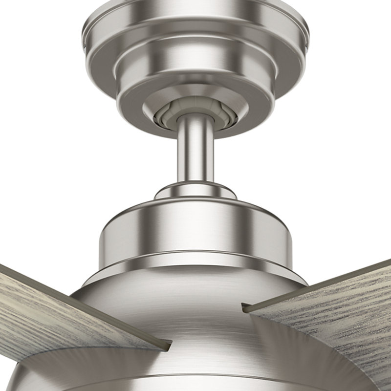 54" Levitt 4 - Blade LED Standard Ceiling Fan with Wall Control and Light Kit Included