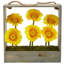 Marguerite dans un panier Gerber August Grove®-24745615