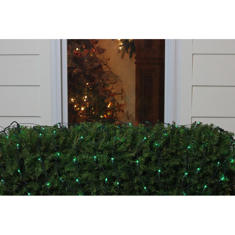 Mini lumières de Noël incandescentes 4 'x 6', Vert