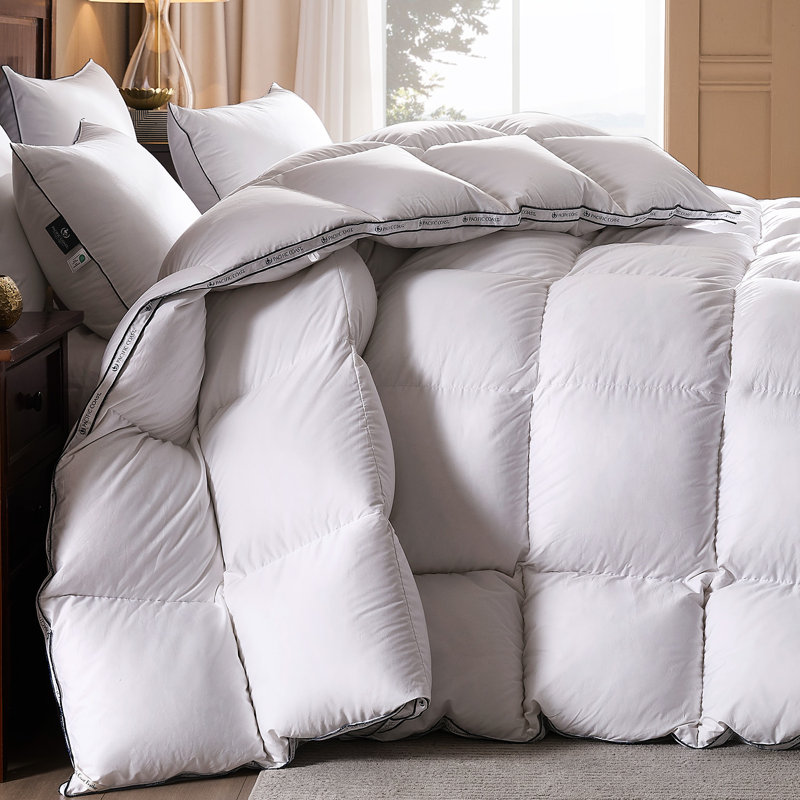 Couette épaisse en plumes et duvet d'oie de la côte Pacifique pour l'hiver, Queen