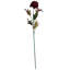 Artificial Arrangement-106401551