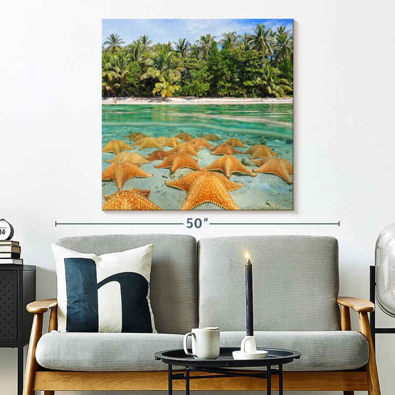 Étoiles de mer Gillard au repos