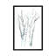 « aquarelle birches ii », impression sur toile-32861396-72230721-72230727