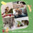 Pawhut 56" Cat Tree For Indoor Cats With Hammock, Cat Tower With Scratching Post, Platforms, Play Ball And Anti-Tipping Device, For Indoor Cats, Green
