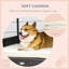 Niche pour chien Lininger-1348003569-1348003574