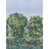 Spring Green Forest
