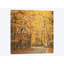 I, impression sur toile tendue October Color-74759626-74759629-74759630