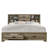 Cloe Solid Wood Bookcase Storage Bed-1388412243