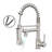 FLG Pull Down Kitchen Faucet
