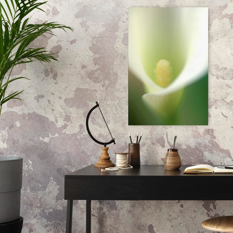 Calla Lilly, délicate fleur éthérée de rêve, art naturel, H 24 po x l 16 po